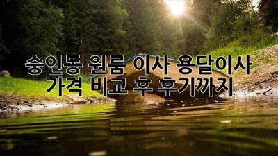 숭인동 원룸 이사? 용달이사 가격 비교 후 후기까지!